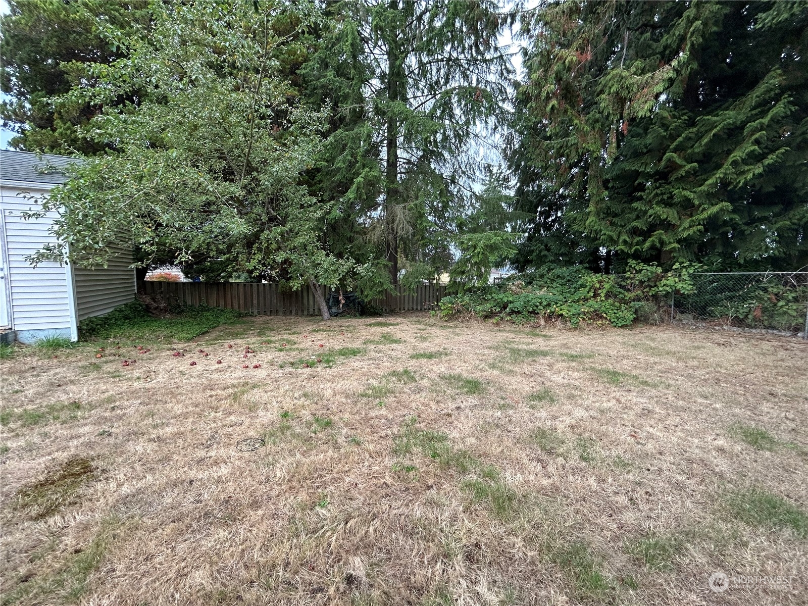 6919 Cady Road Everett, WA 98203 - Photo 24 of 29 a backyard of a house with lots of green space
