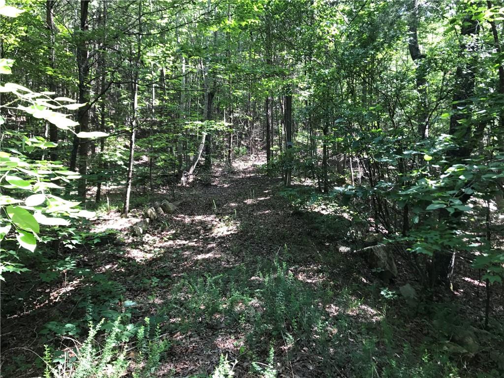 587 East Valley Road Northeast Rydal, GA 30171 - Photo 14 of 18