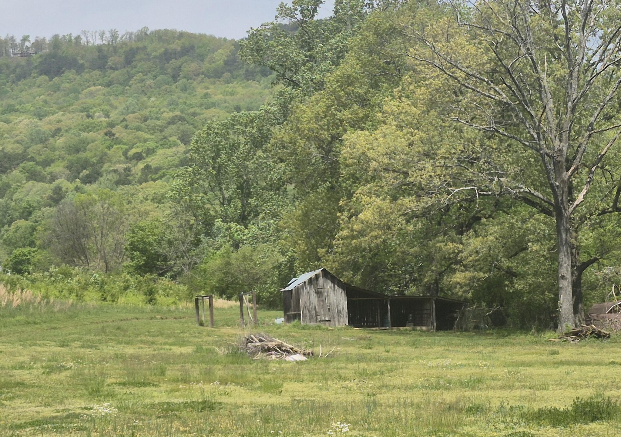 525527 Shady Grove Road Sequatchie, TN 37374 - Photo 37 of 55 Gallery Image 37