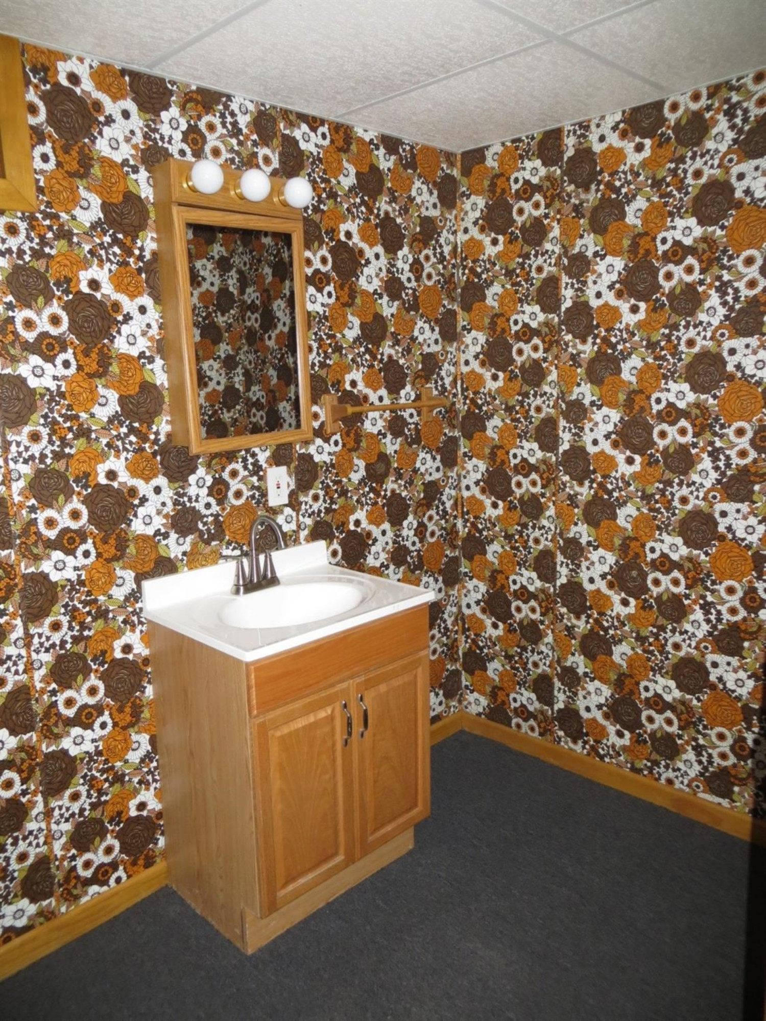 2222 East Rauch Road Erie, MI 48133 - Photo 24 of 38 Photo 24