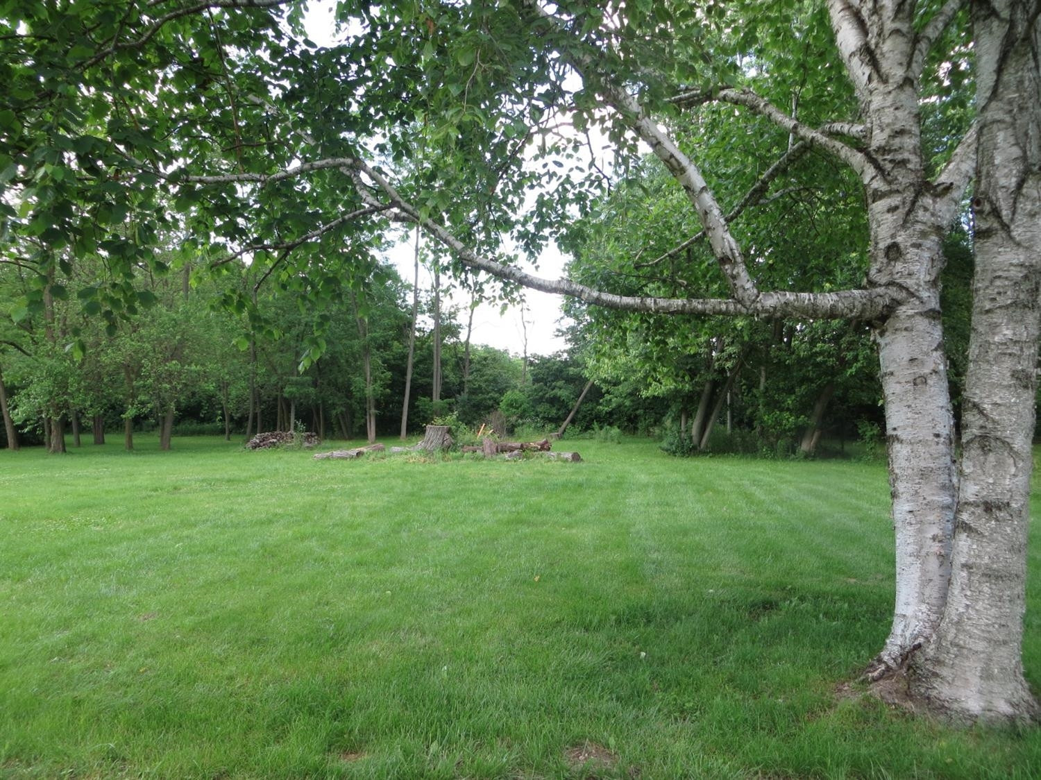 2222 East Rauch Road Erie, MI 48133 - Photo 35 of 38 Photo 35