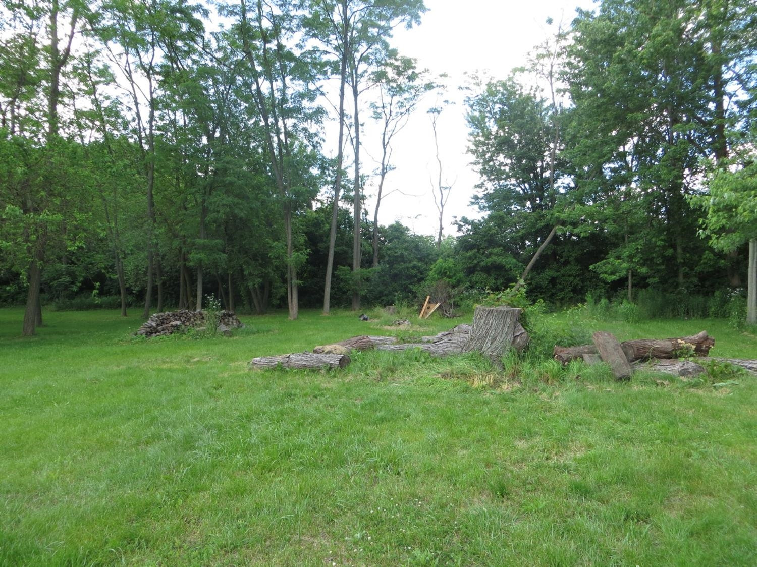 2222 East Rauch Road Erie, MI 48133 - Photo 36 of 38 Photo 36