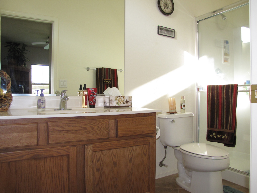 14192 West Calavar Road Surprise, AZ 85379 - Photo 11 of 13 Guest Suite Bathroom