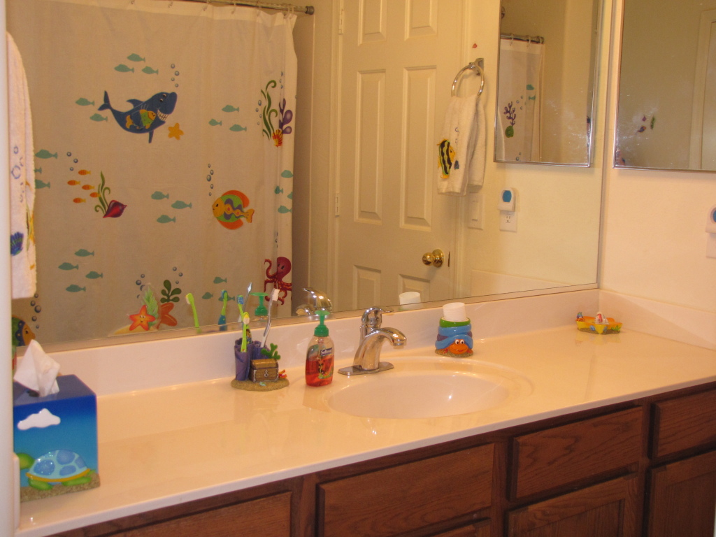 14192 West Calavar Road Surprise, AZ 85379 - Photo 9 of 13 Bathroom2