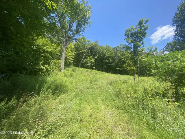 $35,000 | 205 County Route 3, Putnam Station, NY 12861