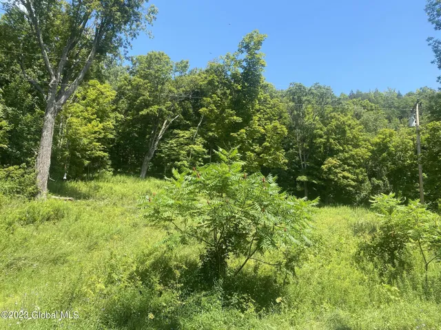 $35,000 | 205 County Route 3, Putnam Station, NY 12861