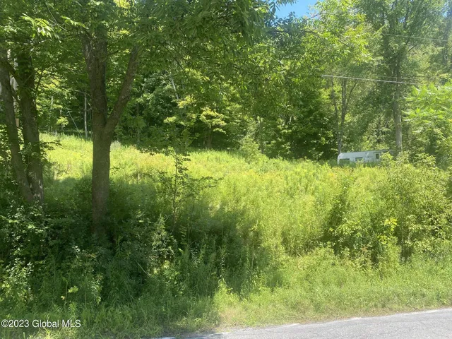 $35,000 | 205 County Route 3, Putnam Station, NY 12861