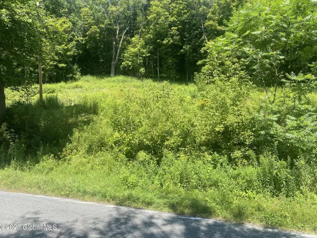 $35,000 | 205 County Route 3, Putnam Station, NY 12861