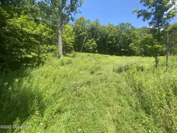 $35,000 | 205 County Route 3, Putnam Station, NY 12861