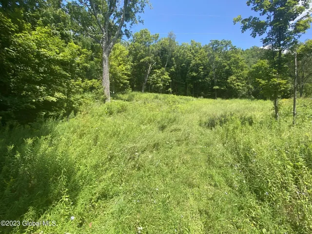 $35,000 | 205 County Route 3, Putnam Station, NY 12861