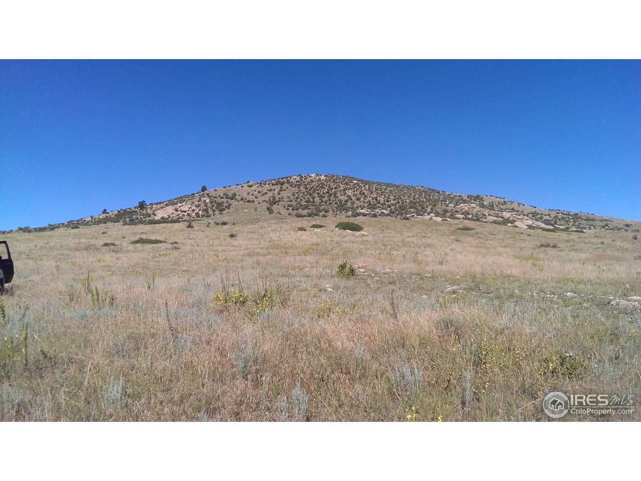 944 Pinon Ridge Road Laporte, CO 80535 - Photo 11 of 21 Gallery Image 11
