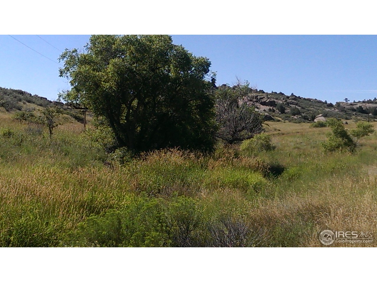944 Pinon Ridge Road Laporte, CO 80535 - Photo 18 of 21 Gallery Image 18