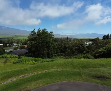 a view of a lush green space