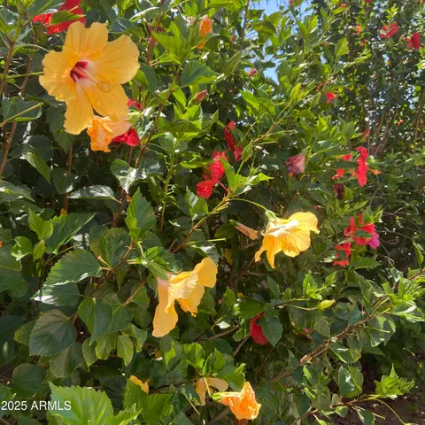 $785,000 | 6127 West Donald Drive, Glendale, AZ 85310