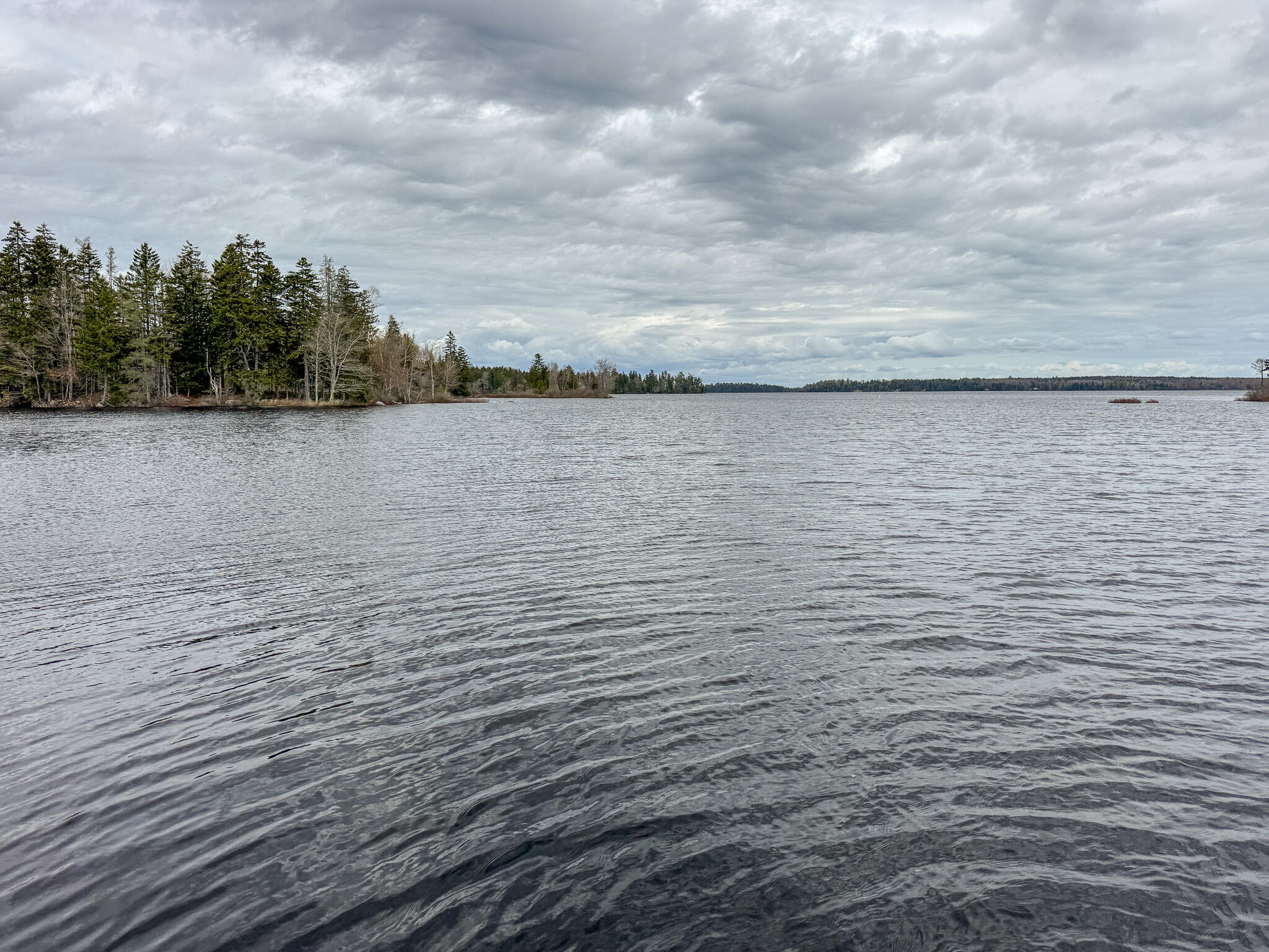 58 High Head Road East Machias, ME 04630 - Photo 8 of 17 IMG_4739