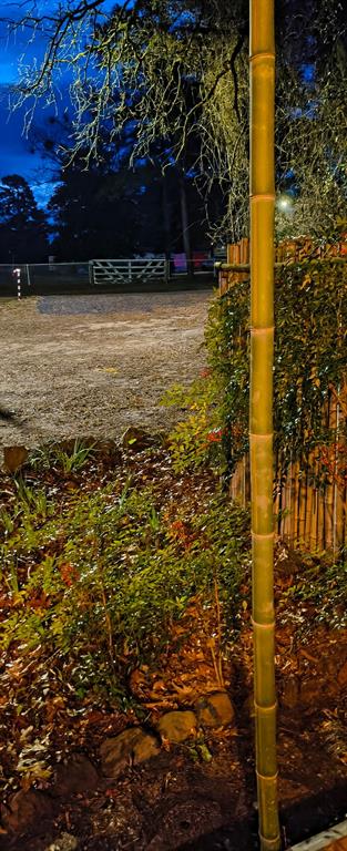 106 Sandy Lane Road Scroggins, TX 75480 - Photo 20 of 27