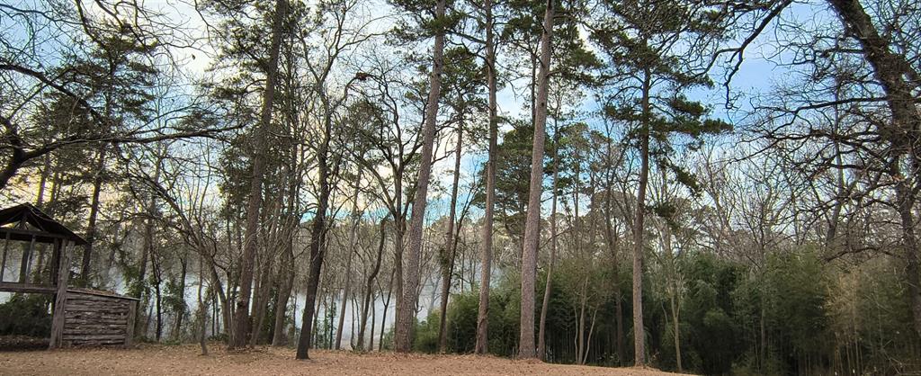 106 Sandy Lane Road Scroggins, TX 75480 - Photo 3 of 27 a view of outdoor space and yard