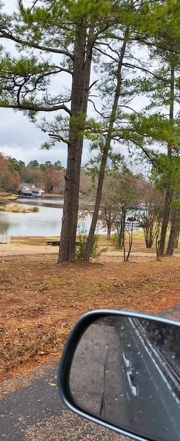 106 Sandy Lane Road Scroggins, TX 75480 - Photo 5 of 27 a view of a yard with an outdoor space