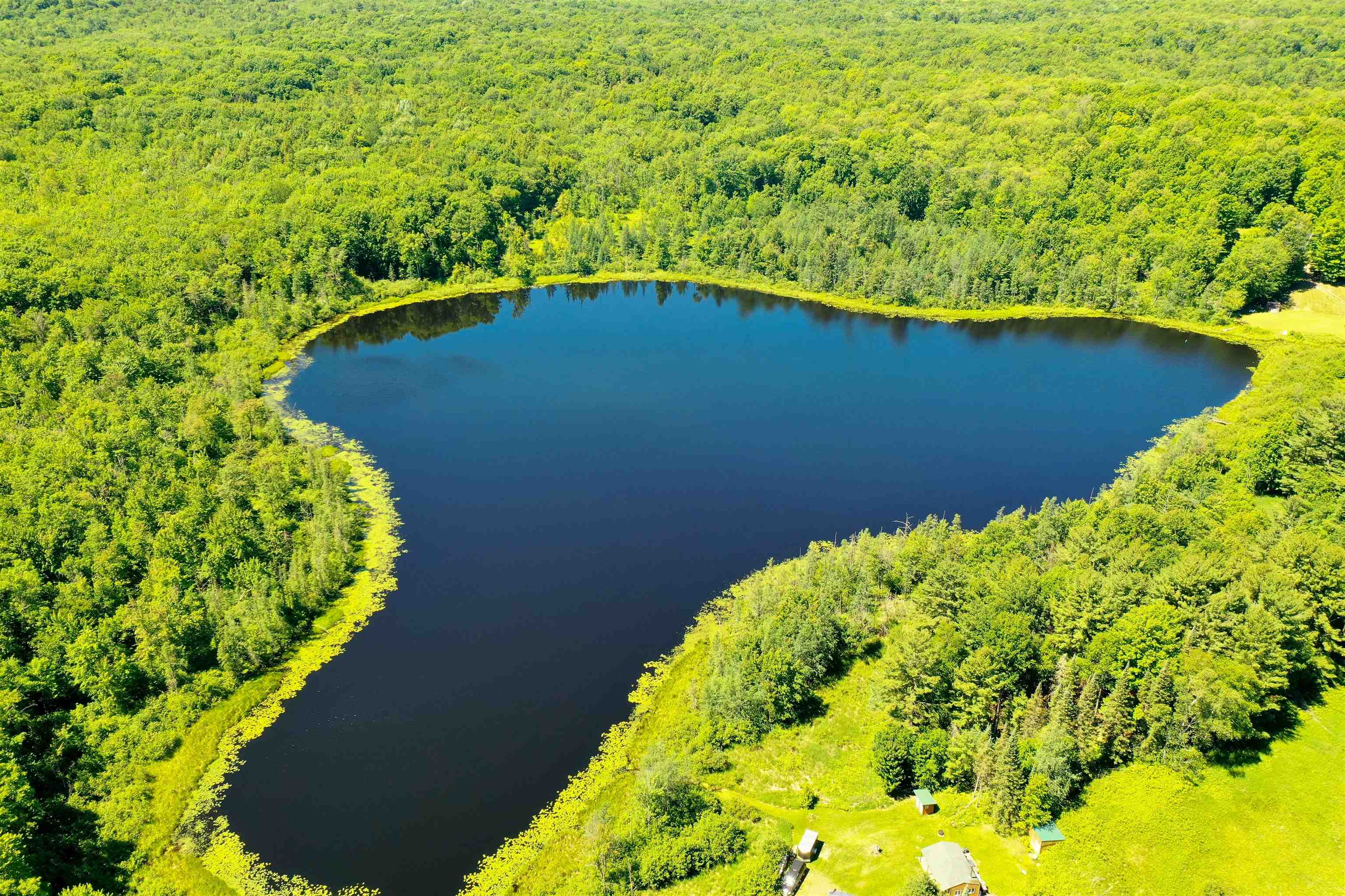 544-acre Salem Lake Road Medford, WI 54451 - Photo 5 of 9