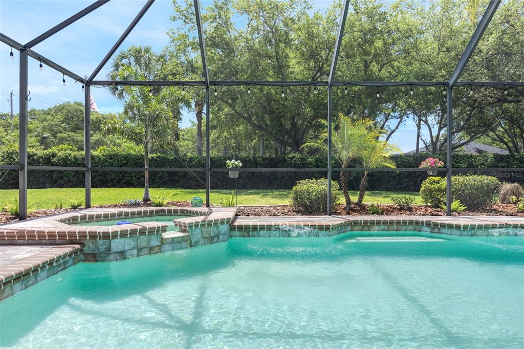4415 Merrick Run Lane Valrico, FL 33596 - Photo 53 of 72