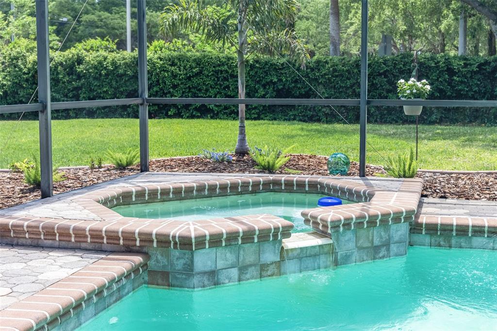 4415 Merrick Run Lane Valrico, FL 33596 - Photo 56 of 72