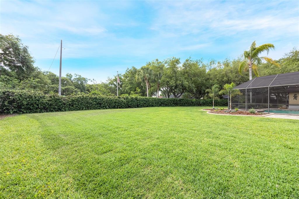 4415 Merrick Run Lane Valrico, FL 33596 - Photo 64 of 72