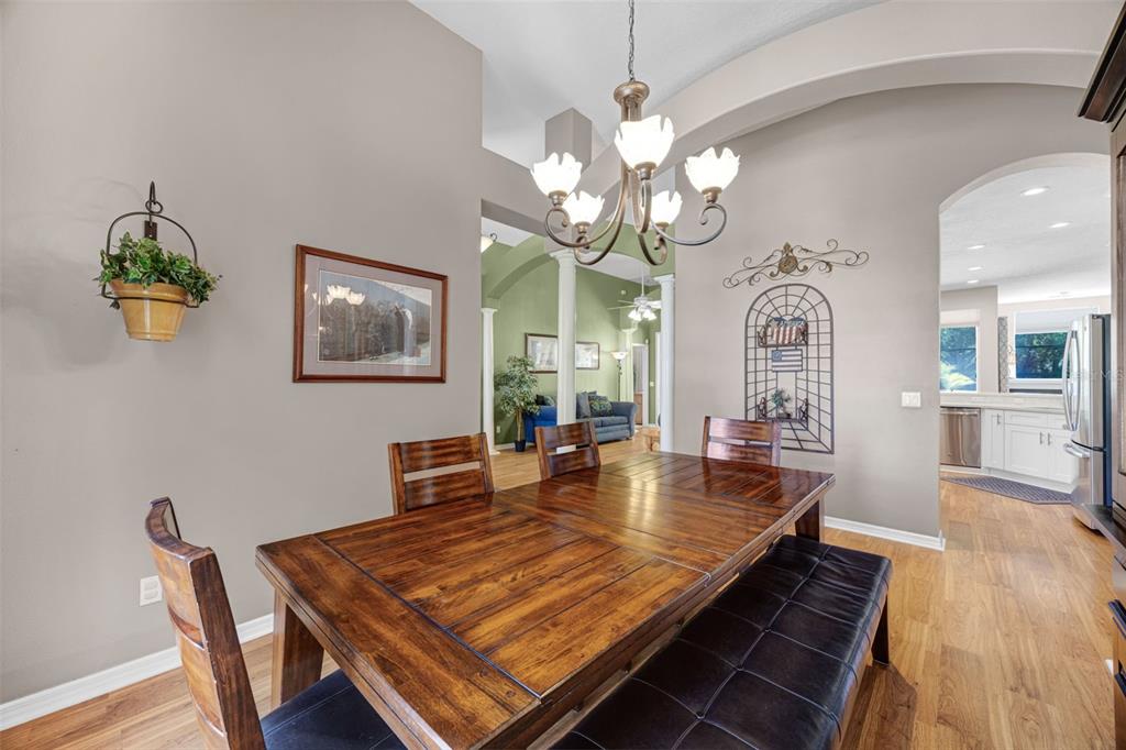 4415 Merrick Run Lane Valrico, FL 33596 - Photo 10 of 72