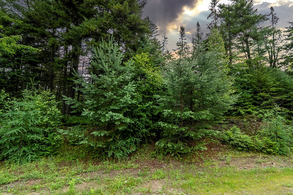 0 Cascade Road Lake Placid, NY 12946 - Photo 8 of 13 Gallery Image 8