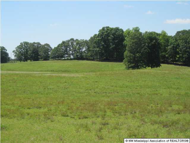 400 Rooks Road Como, MS 38619 - Photo 1 of 13 Primary Photo