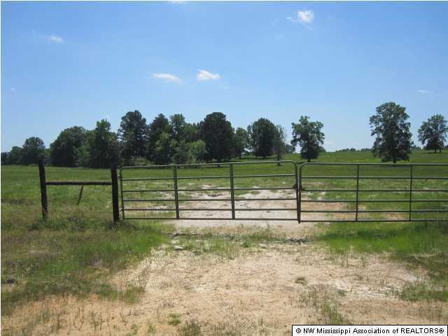 400 Rooks Road Como, MS 38619 - Photo 3 of 13 Additional Photo