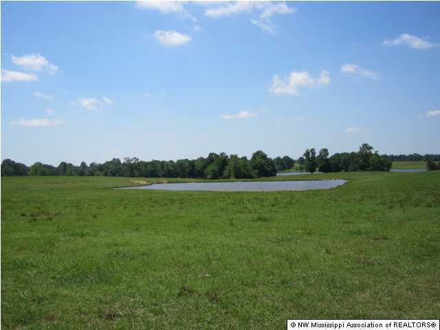 400 Rooks Road Como, MS 38619 - Photo 4 of 13 Additional Photo