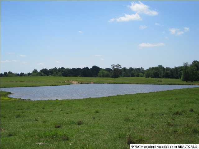 400 Rooks Road Como, MS 38619 - Photo 6 of 13 Additional Photo