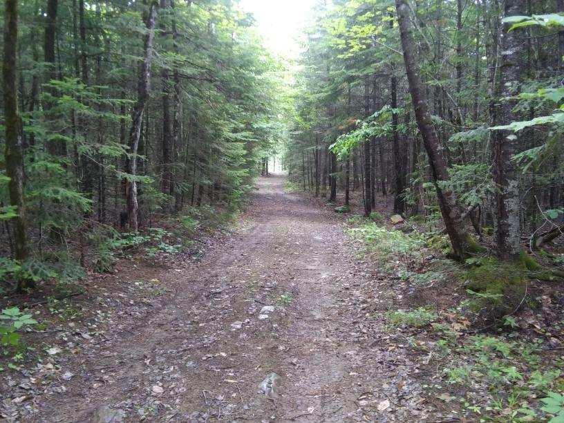 1661 Ludlow Road Houlton, ME 04730 - Photo 44 of 63 image000003333