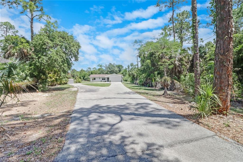 4355 Pine Ridge Road Naples, FL 34119 - Photo 23 of 23 a view of a yard with plants and trees