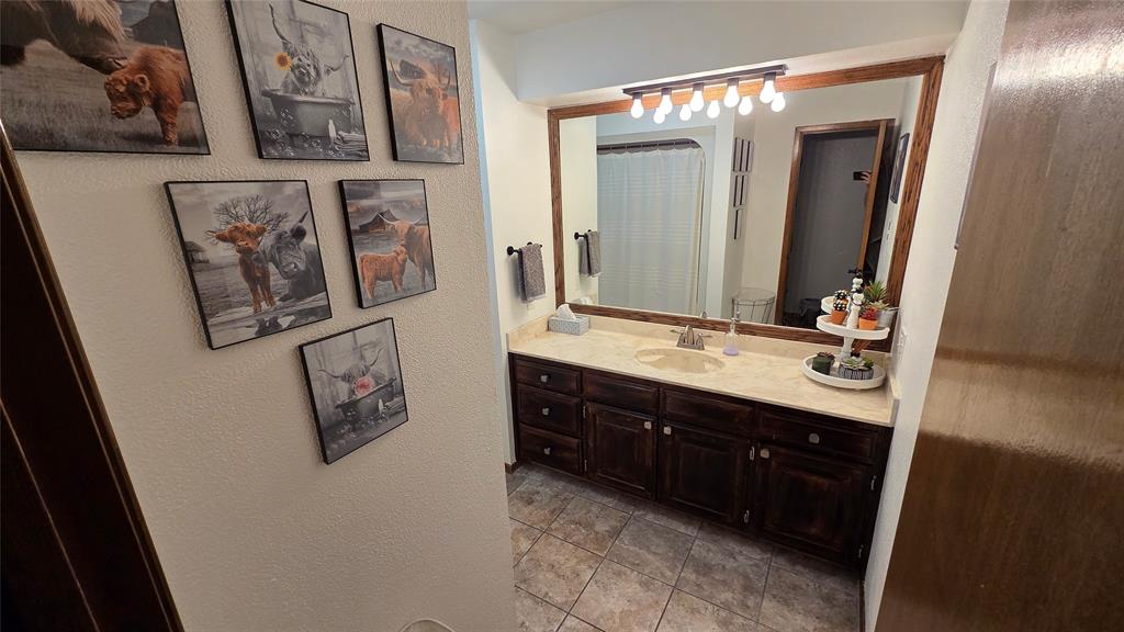 338 Travis Road Decatur, TX 76234 - Photo 17 of 40 a bathroom with a sink and a mirror