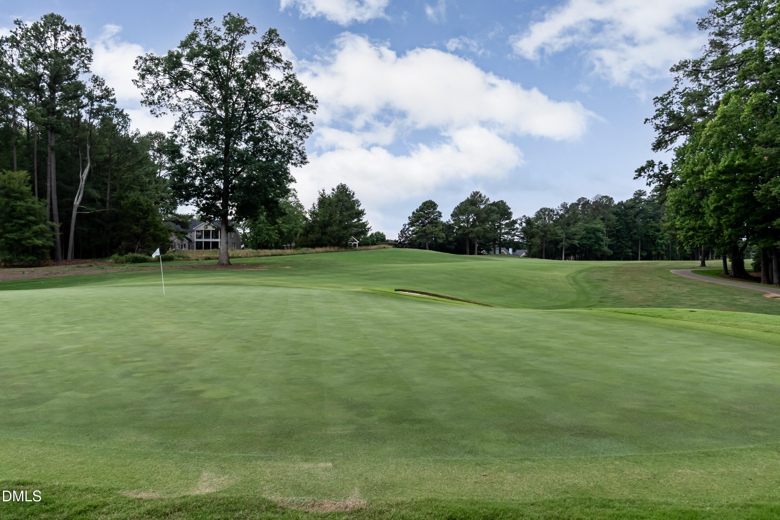 2217 Mountain High Road Wake Forest, NC 27587 - Photo 65 of 100 Golf 01