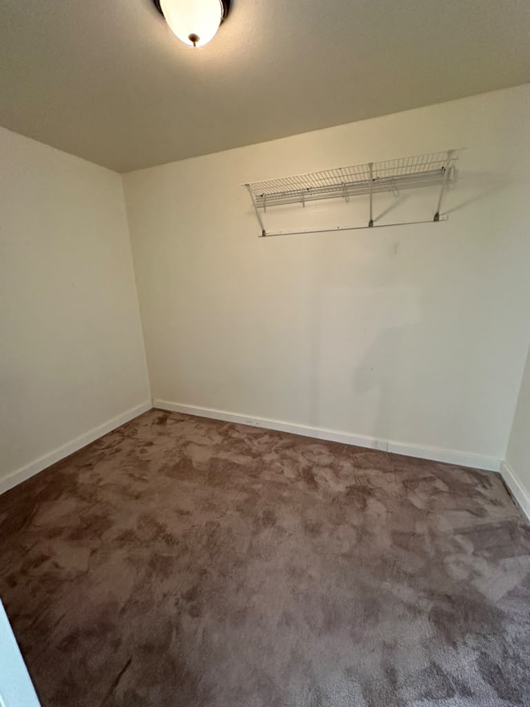 1981 Prairie Rock Way Round Rock, TX 78664 - Photo 17 of 22 Plush wall-to-wall carpeting and built-in wire shelving maximize storage potential in this walk-in closet.
