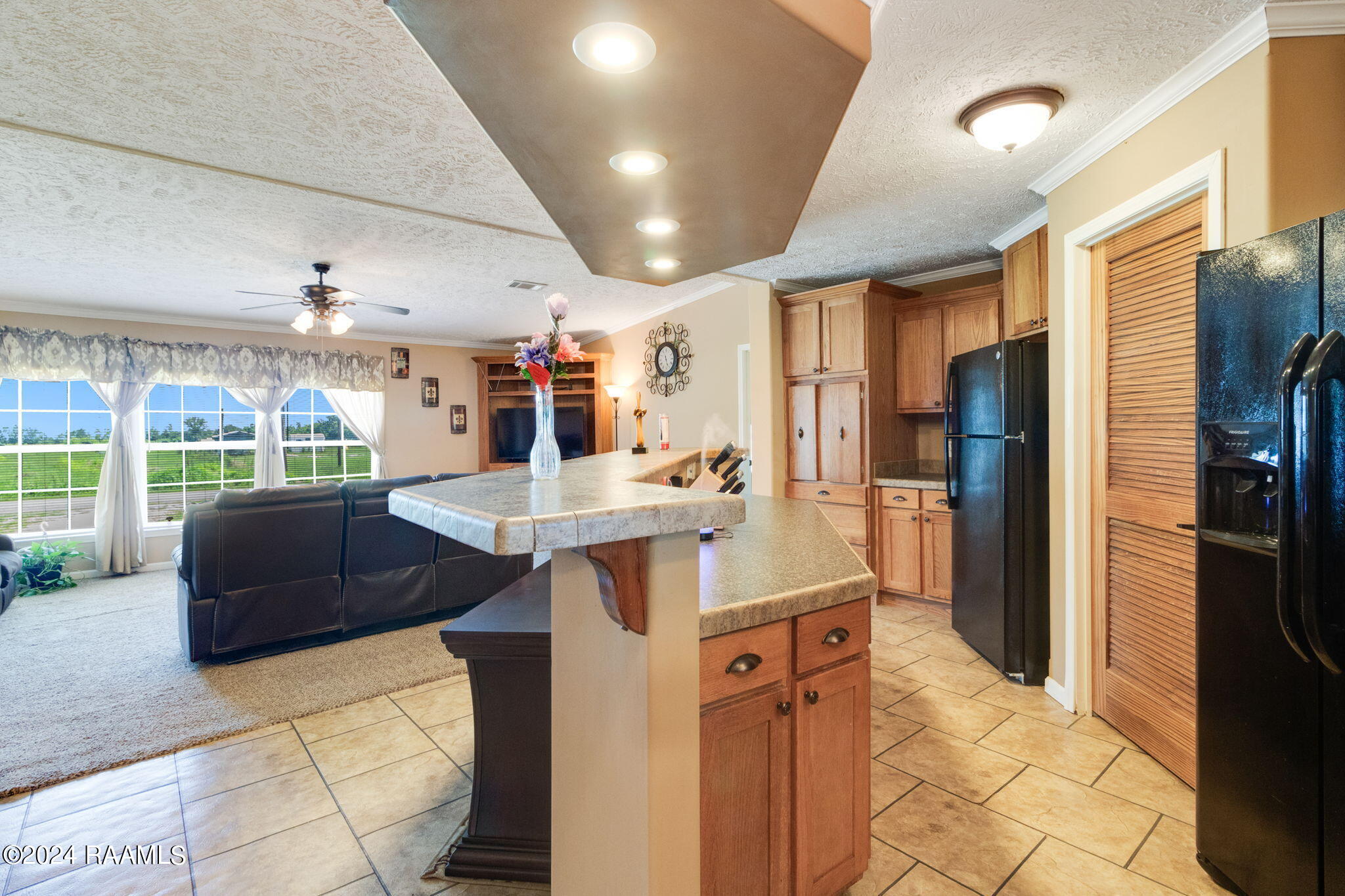 1010 Cheneau Road Kaplan, LA 70548 - Photo 8 of 23 9-web-or-mls-1010 Cheneau Rd-9