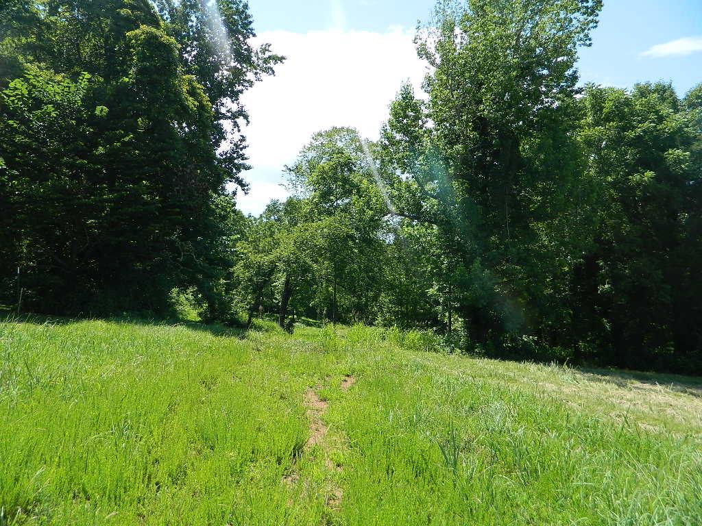23 Cairo Bend Road Lebanon, TN 37087 - Photo 2 of 2 Gallery Image 2