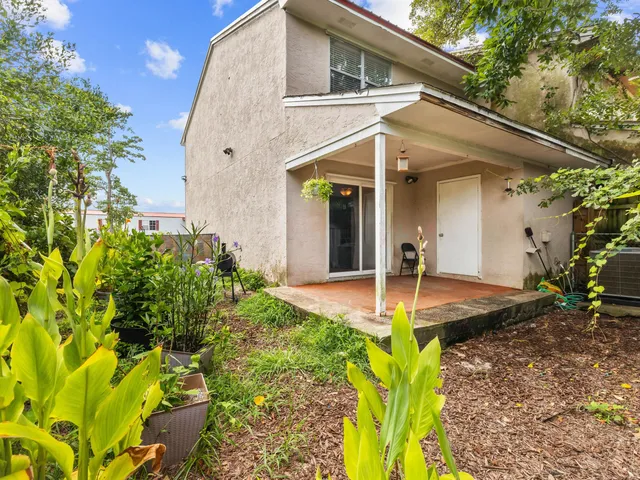 a view of backyard and tree