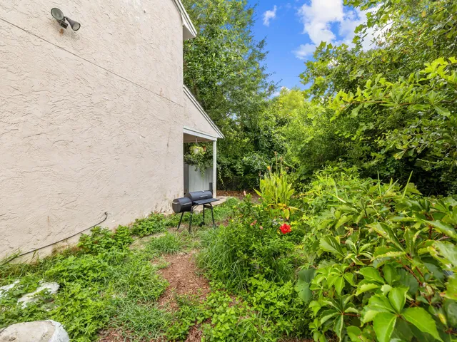 a view of a garden with a tree