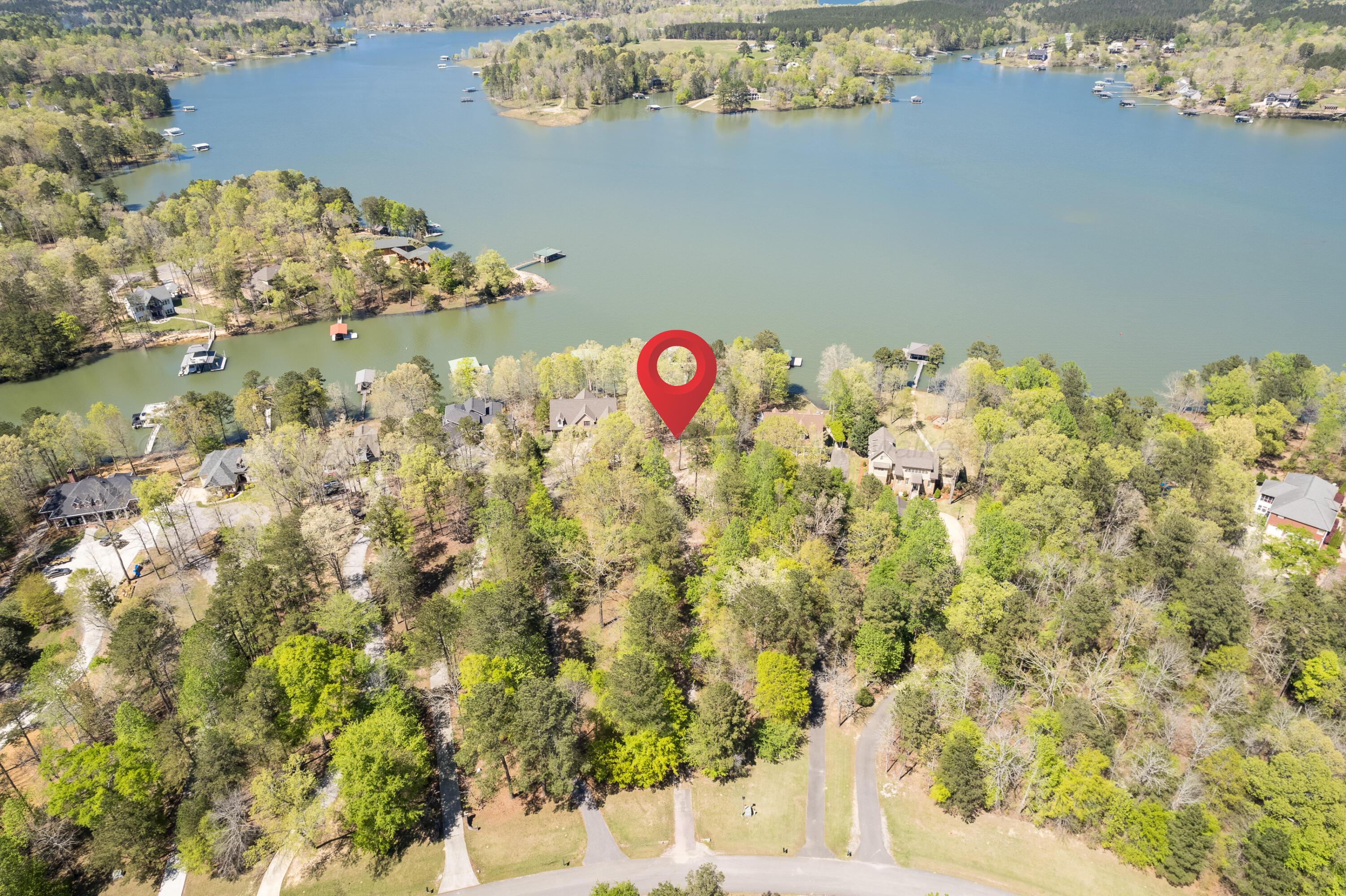 567 Stoney Point Road South Double Springs, AL 35553 - Photo 12 of 22 Aerial Location