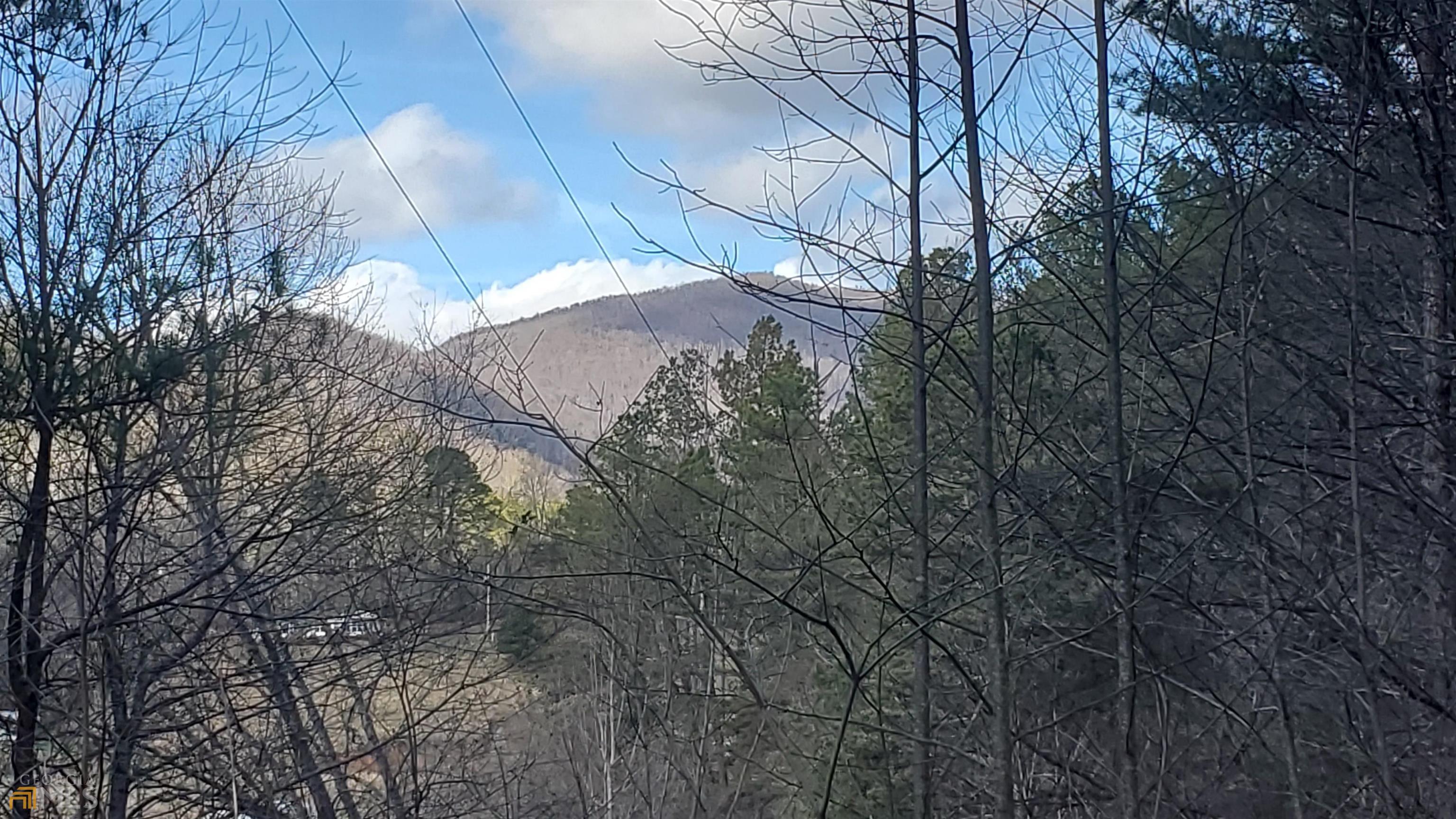 possible view with tree clearing