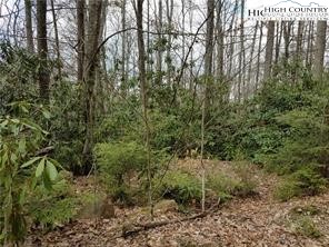 Xx Red Clover Road Elk Park, NC 28622 - Photo 3 of 13 a view of a forest with a tree
