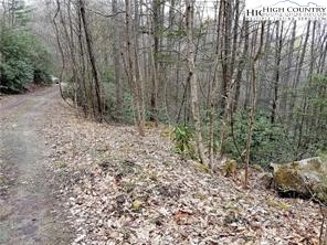 Xx Red Clover Road Elk Park, NC 28622 - Photo 4 of 13 a view of a yard with large trees