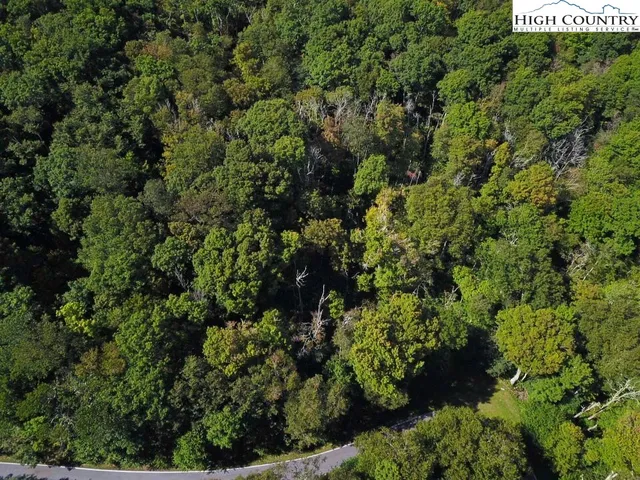 an aerial view of residential house with outdoor space and trees all around