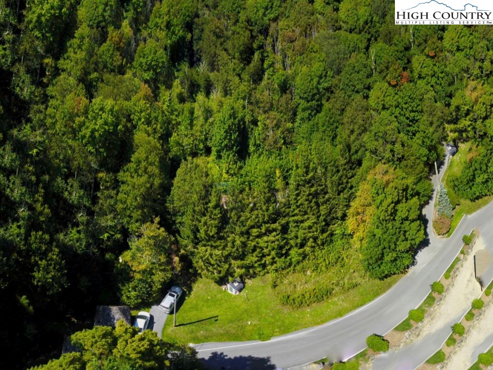 Xx Red Clover Road Elk Park, NC 28622 - Photo 8 of 13 a view of a garden