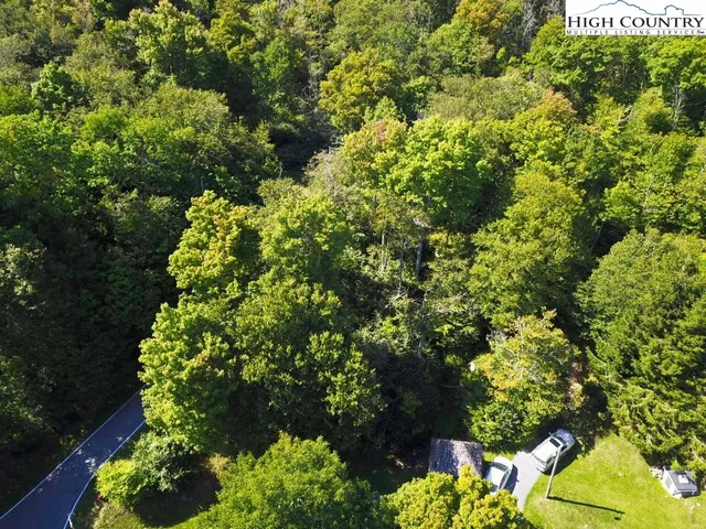 a view of a garden with a flower garden