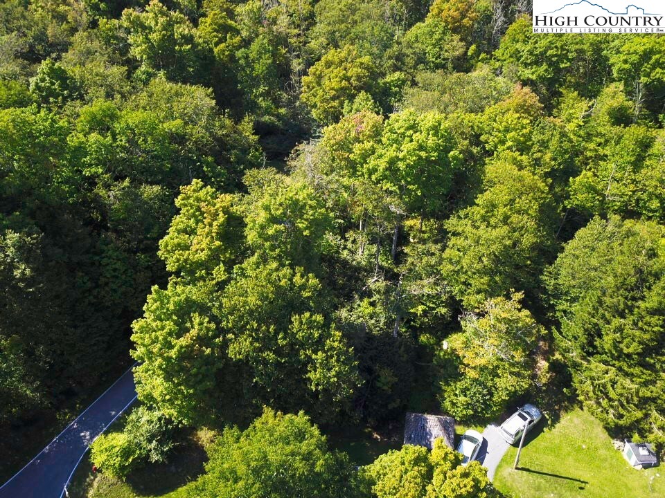 Xx Red Clover Road Elk Park, NC 28622 - Photo 9 of 13 a view of a garden with a flower garden