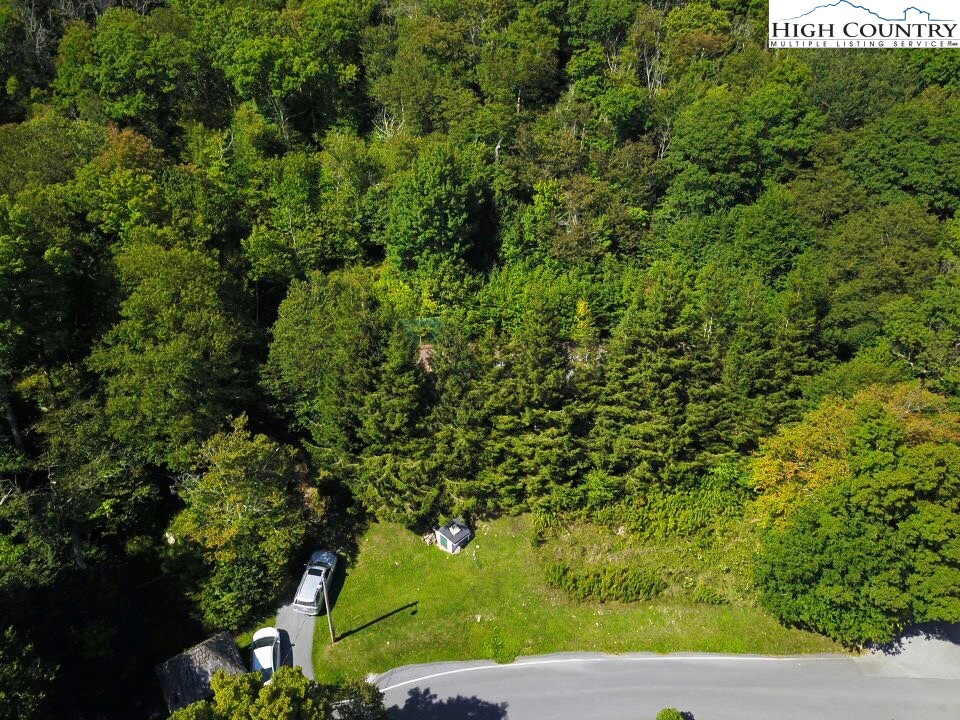Xx Red Clover Road Elk Park, NC 28622 - Photo 10 of 13 a view of a yard